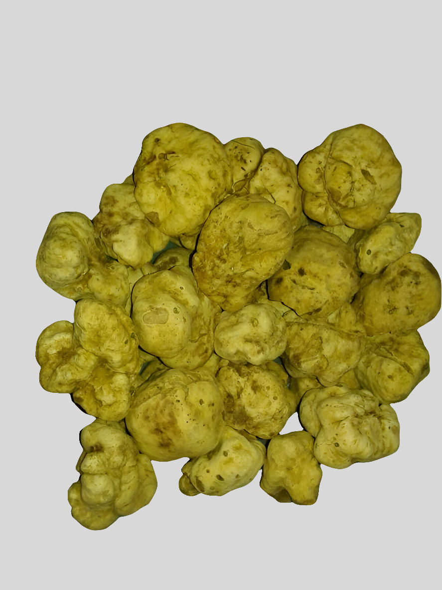 Truffes Blanches de Miel - (des Sables) - (Terfezia terfezioides)