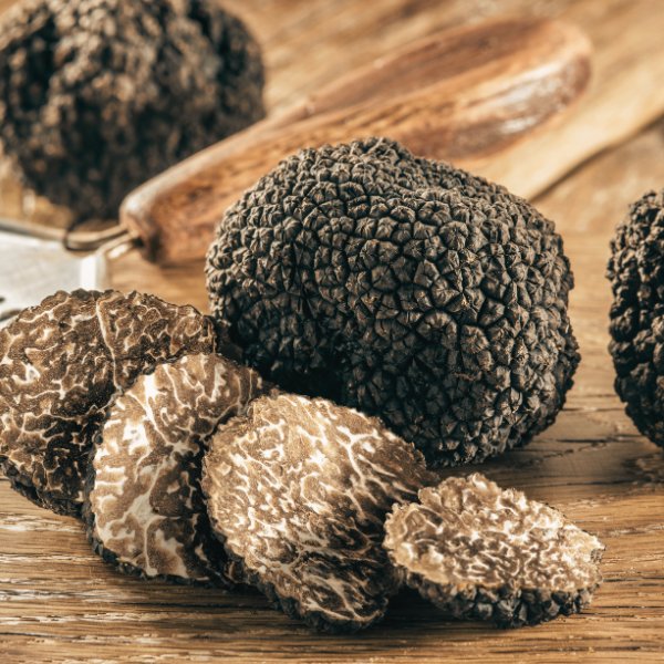 Autumn Black Truffles (Tuber Uncinatum)