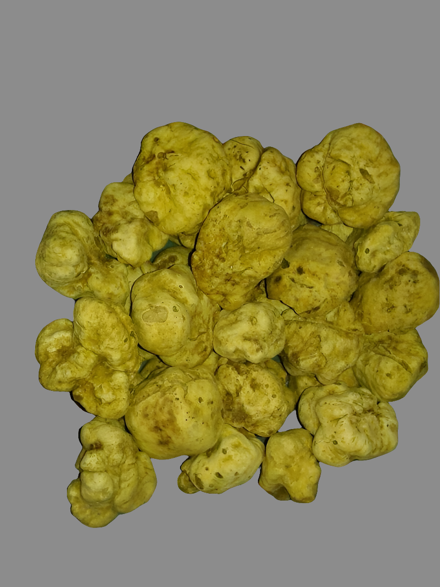 Truffes Blanches de Miel - (des Sables) - (Terfezia terfezioides)